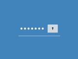 Password input form